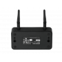 Беспроводной микрофон AVerMedia AW315 (Line/Mic out)
